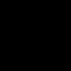 woptzx