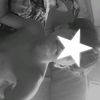 chrissingh395