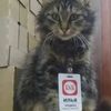 alonyyy