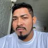 pantera_segura502