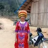 m.sinh.8111969