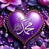 abbas.ali8587