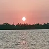 hoangminh7976