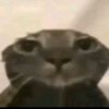 esoquejh