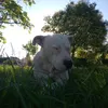benja._fuen