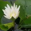 tuanvan7865