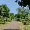ytta_slebew6