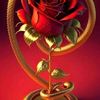 user94020059529090