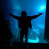 mdalaminhossain11222
