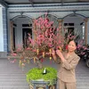 lien.hong17