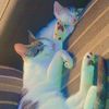 sonofgrace_077