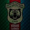 elnur010406