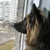 user57610820120173