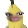 spamc_inda