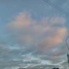 yulka_230