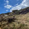 adamnottinghambackup