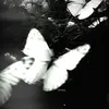 roje_q