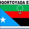 qaladxaliye5