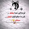 user6610853176694