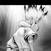 dr.stone4237