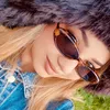 zahraayeb4