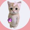 user1475531942996