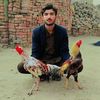sharjeelchadhar13