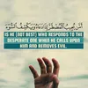 ammar.ibrahim38