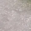 qviipppii