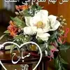 user77630456933761