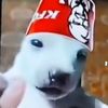 perritokf