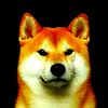 shibadoesntcare