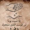 user80087297278755