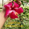 user9224000461731