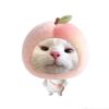 r4nni.lov3r_who0