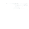 h0621191