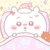 nayladacat._official10._