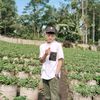 alim.ibnu.alim