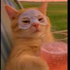 mariam.mahmoud6138