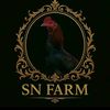 usernamecom034