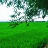 nhattruong.06.05