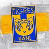 clubtigres5