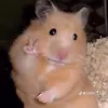 giahngtrn17