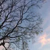 notat_astandstill