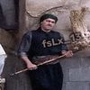 fsoljbrangmail.com1