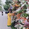 lantran_73