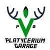 platycerium_garage