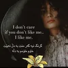 shadyataqana3