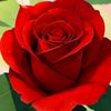 user040512.f