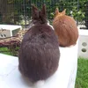 lunesandmoon